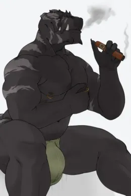 Rexford || Bottom Alpha