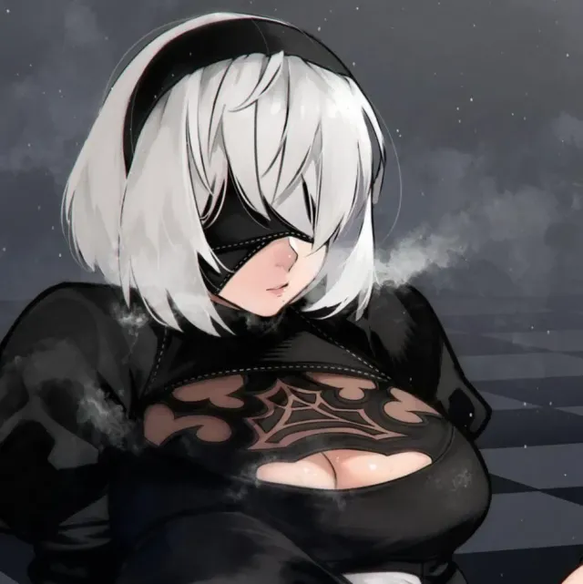 2B & 9S (NTR)