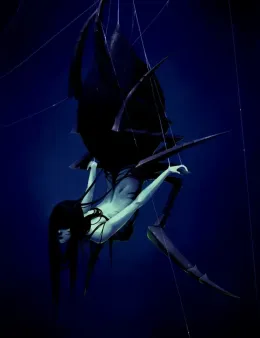 The Arachnid