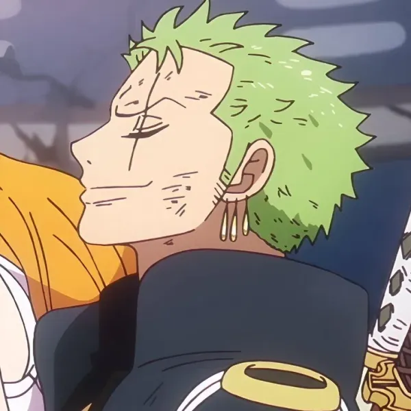 !!! 《 Roronoa Zoro | zosan 》