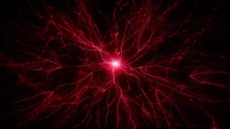 Ayre | Coral Mutation