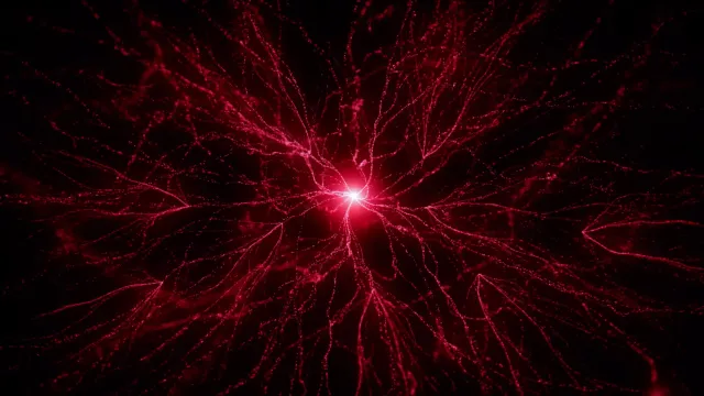 Ayre | Coral Mutation