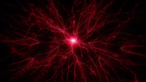 Ayre | Coral Mutation