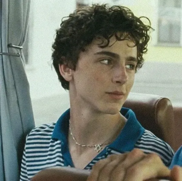 *+Elio Perlman°.• your summer boyfriend