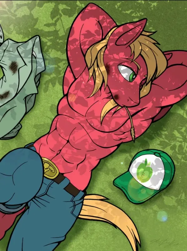 Big Macintosh | Lover Boy