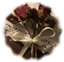 ゙cdr. phillip graves & cpt. cash hall.  °˖➴