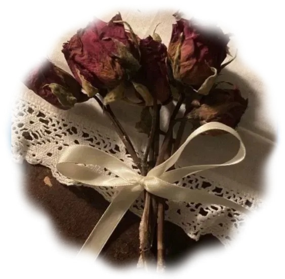 ゙cdr. phillip graves & cpt. cash hall.  °˖➴