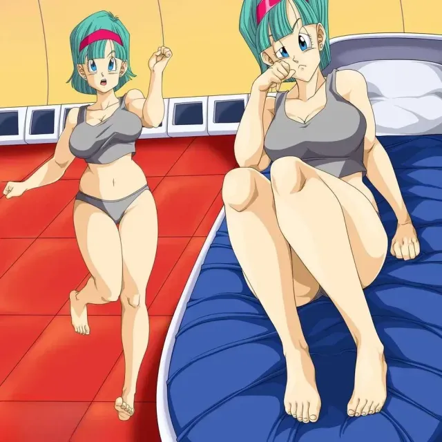 Bulma Brief