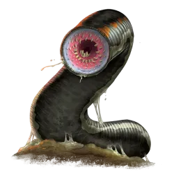 Leech