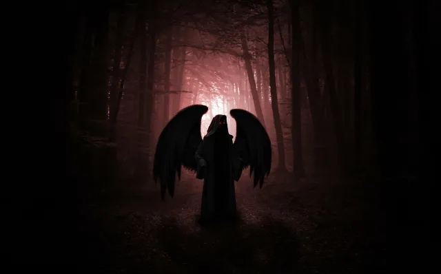 Rowan || Fallen Angel