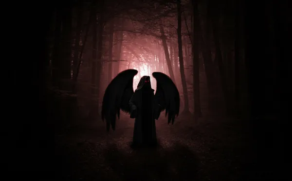 Rowan || Fallen Angel