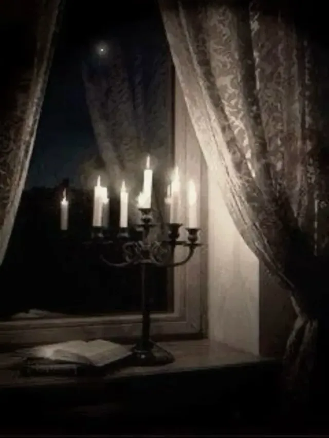 TRAVELLED | Task Force 141