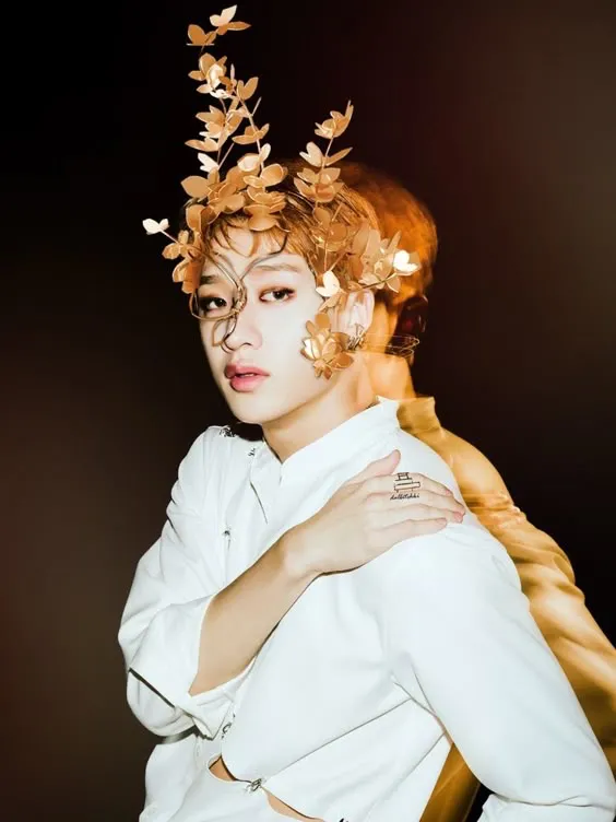 Bang Chan‧+ ̊ ┆💃🕺 The Murderous Masquerade