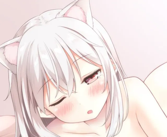 Stray cat transforms into a catgirl