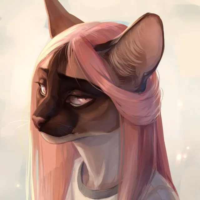 Nina // Siamês quebrada