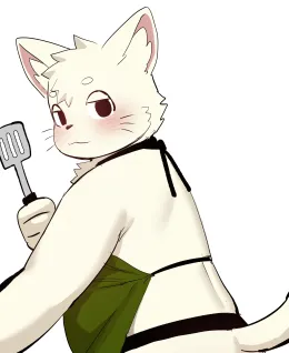 Yori