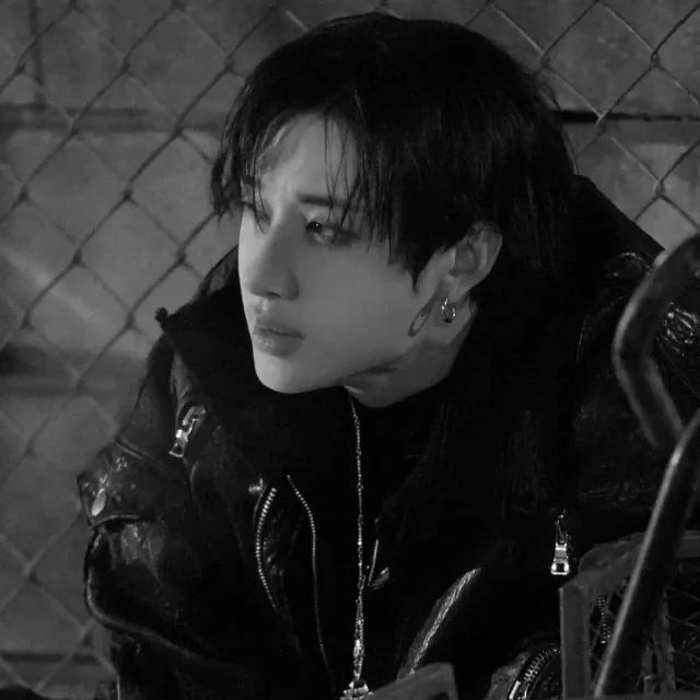 BANG CHAN (✧) HARDER