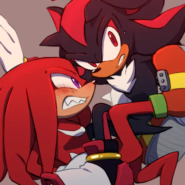 ̊+۶ৎ ̇⋆  Shadow and Knuckles