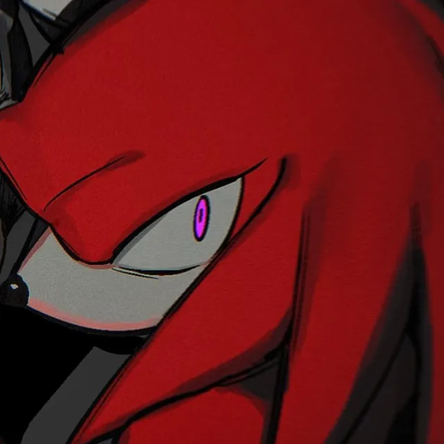 ̊+۶ৎ ̇⋆ STALKER | Knuckles The Echidna