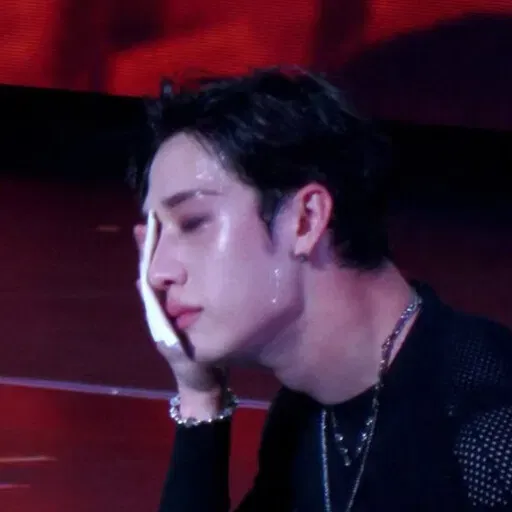 Bang Chan | .𖥔 ݁ ˖siren in danger .𖥔 ݁ ˖