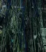 Scarlet - Hyper Database