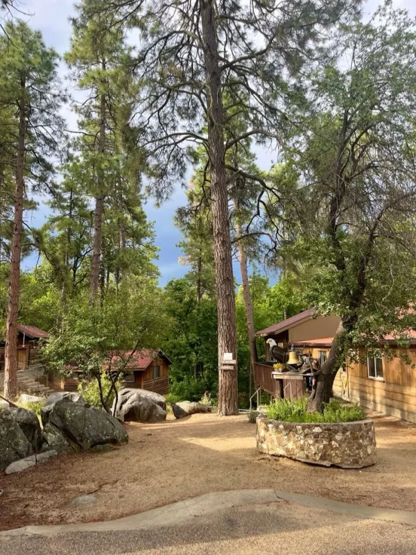 All boys summer camp