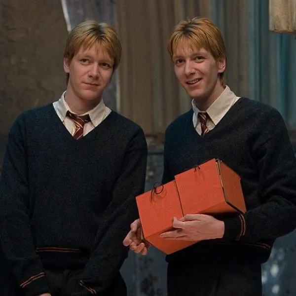 Weasley twins