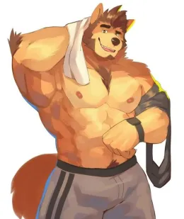 Brody