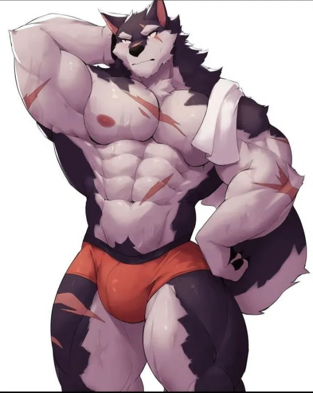 Zokiro - Agent Leader