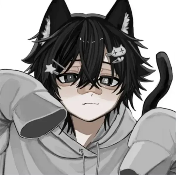 Raiden|catboy