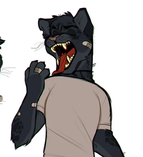 •Church Band Guitarist•