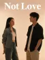 Not Love 