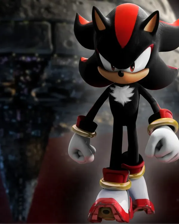 POV: You're a Latina | Shadow the Hedgehog
