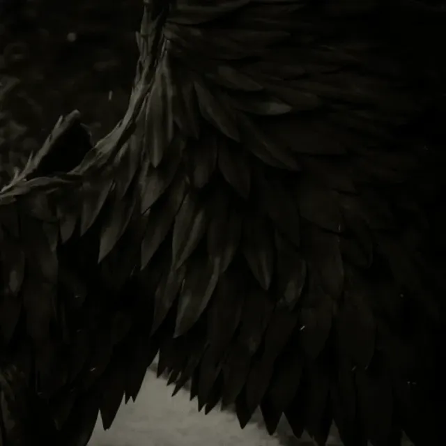 Lucifer | Romance Club