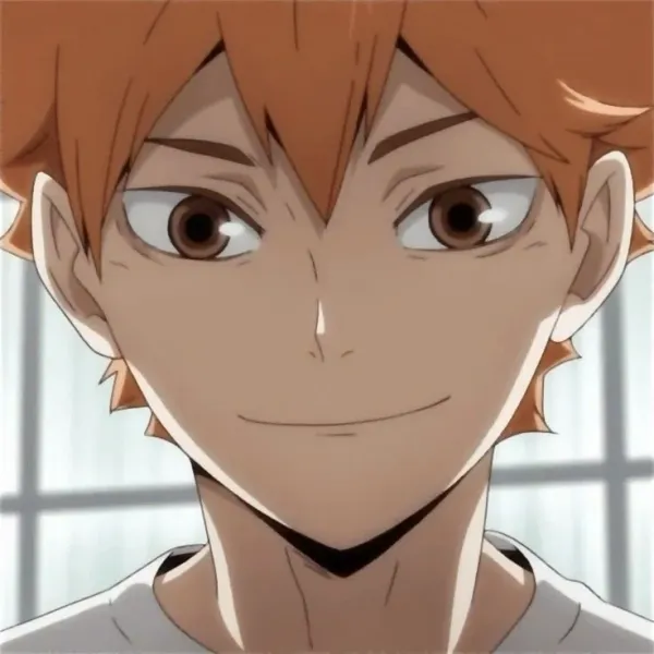 𐔌 . ⋮ Hinata Shouyo .ᐟ ֹ + ꒱