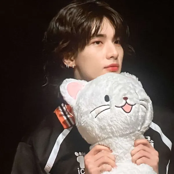 ᥫ᭡ Hwang hyunjin | Amusement Park ~