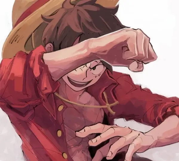 09 - Monkey D Luffy