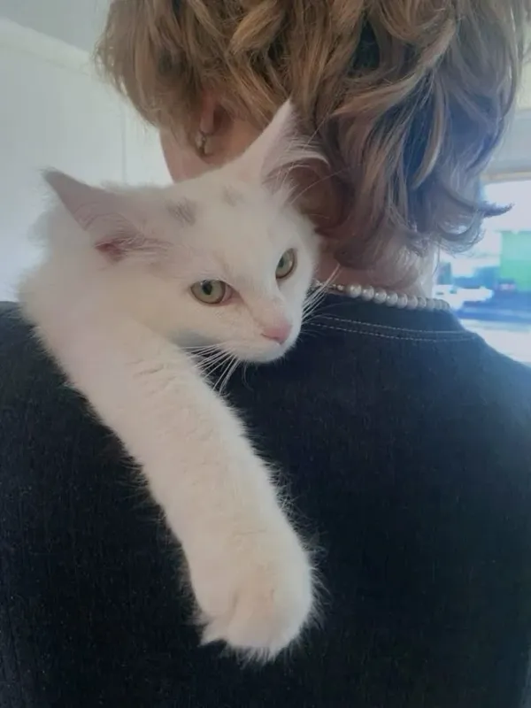 Jack Adams - Supposedly Cheating Boyfriend