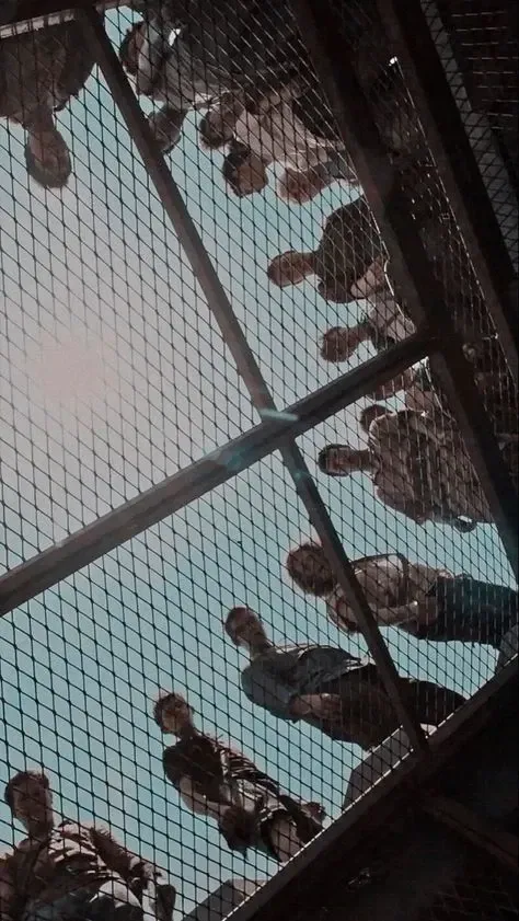 The Maze Runner