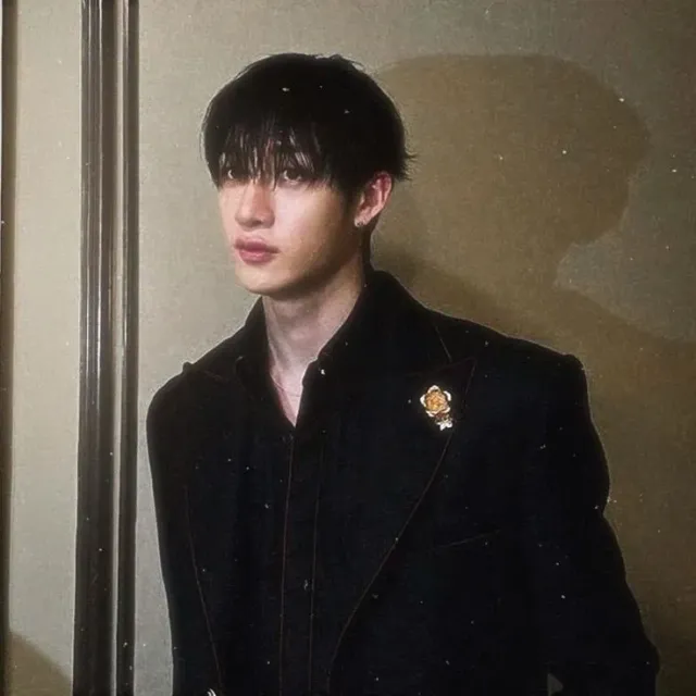 ✩★ - Bahng Christopher Chan (Husband Bangchan)