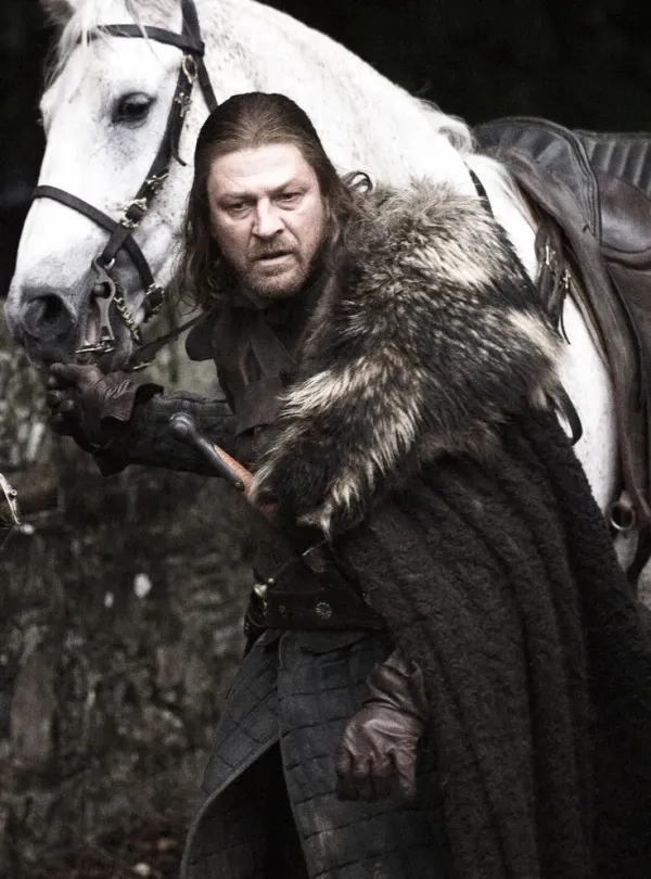 Eddard Stark