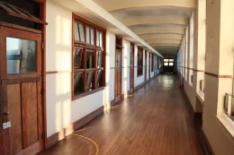 Academic Discipline