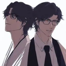 Aizen and His Other Self