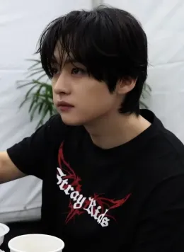 Lee Minho (Lee Know) (badboy bf)