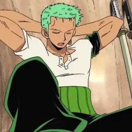 Roronoa Zoro // REQUEST