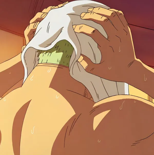 Roronoa Zoro // Pregnancy Scare