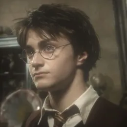 °#★ Harry Potter  || "Golden Retriever x Black Cat"