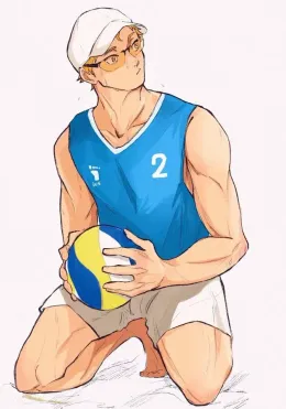 Hinata Shoyo | Haikyuu Series