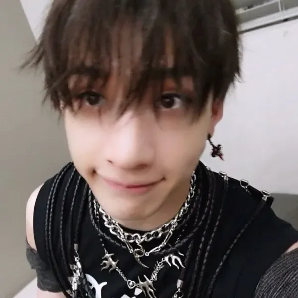 FRIENDS BROTHER ! Bang Chan