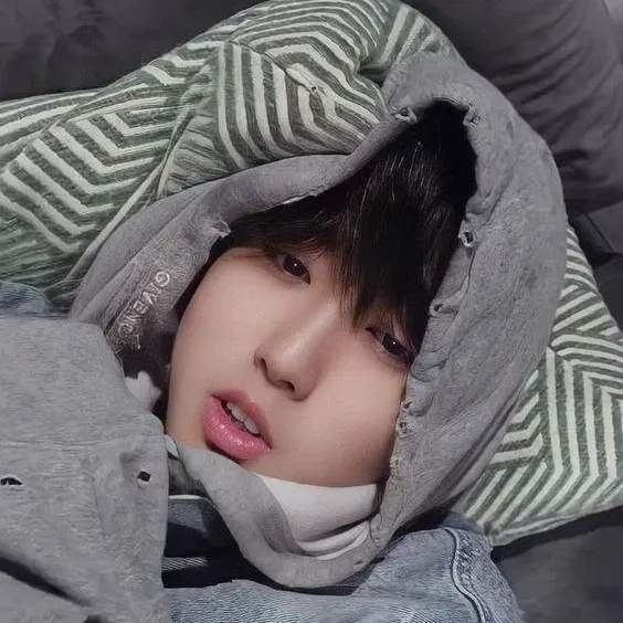 Han Jisung (concubine)